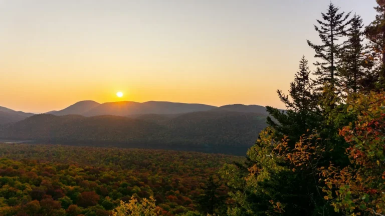 Autumn forest in the Adirondacks, where a burn ban ny helps prevent wildfires